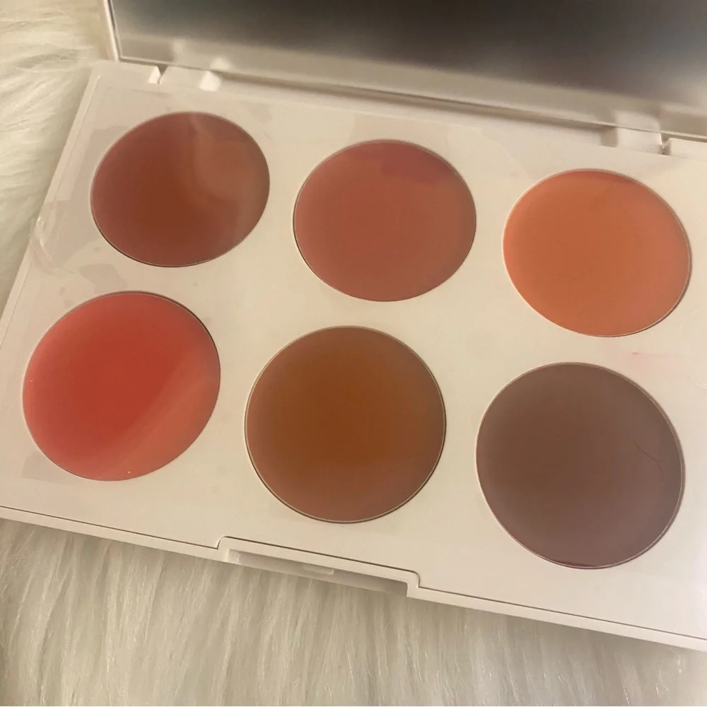 NIB ICONIC LONDON Multi-use Lip & Cheek palette